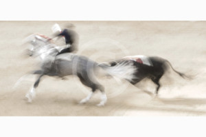 The Bullfight