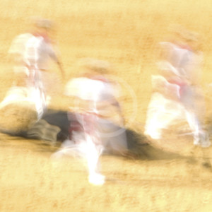 The Bullfight